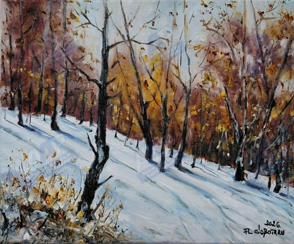 Ciobotaru Florin
