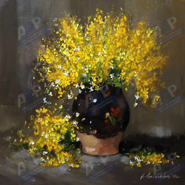 Dibluș Florin Mărin 
