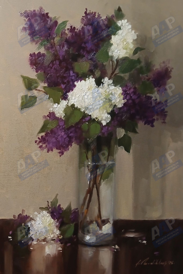 Dibluș Florin Mărin 
