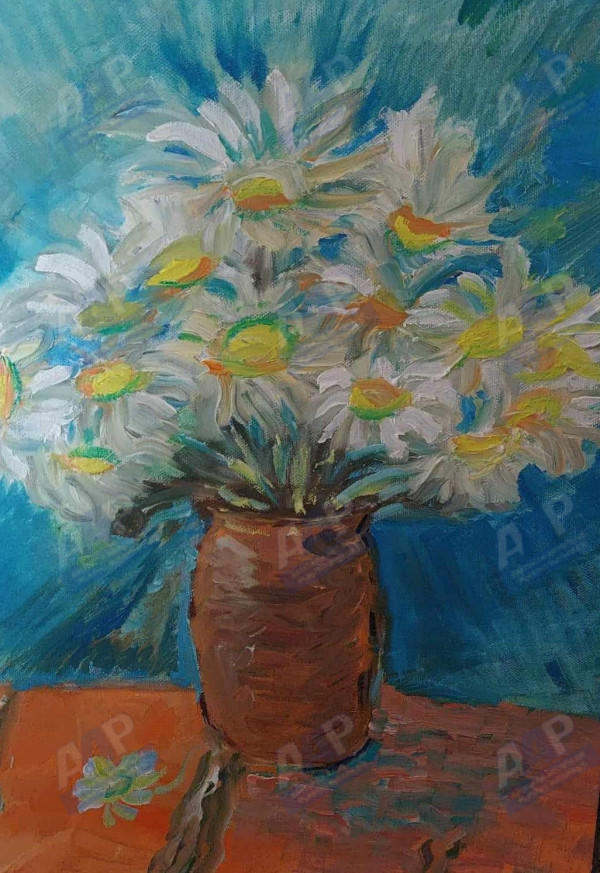Calin Catalina Andreea 