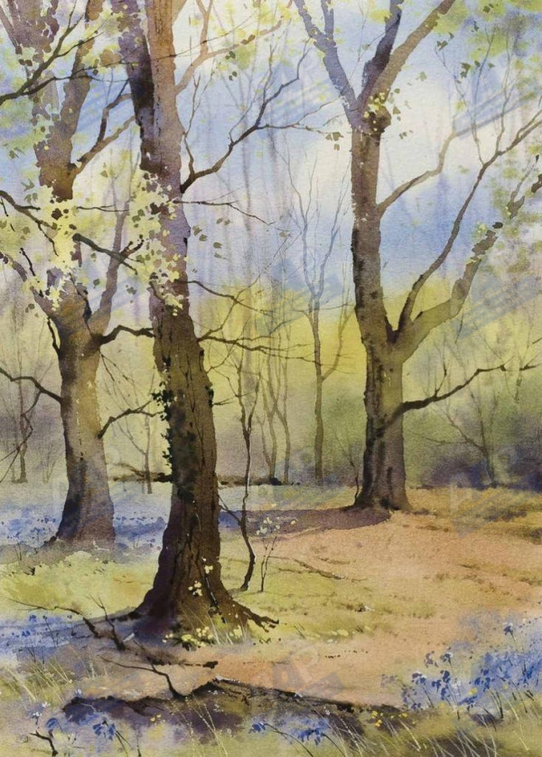 Bădoi Cornelia Bluebell Light